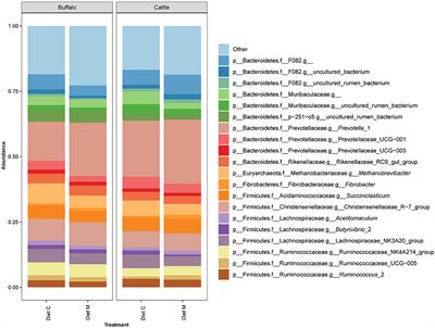 Increasing the Sustainability of Maize Grain Production by Using Arbuscular Mycorrhizal Fungi Does Not Affect the Rumen of Dairy Cattle (Bos taurus) and Buffalo (Bubalus bubalis)